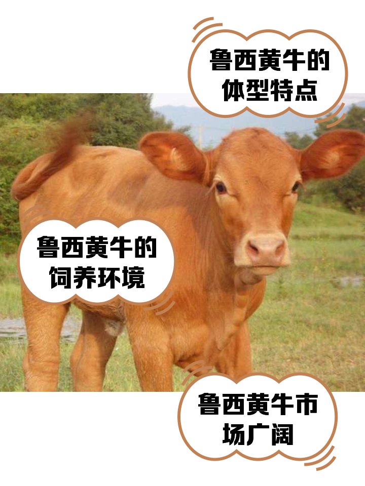杭州最新医保取现黄牛方法分析(最方便真实的杭州医保取现黄牛怎么取方法)